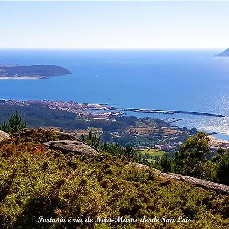Oliveira De Lägenhet