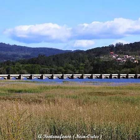 Oliveira De Lejlighed
