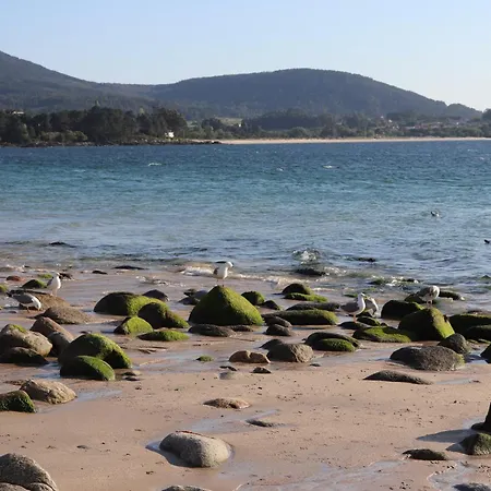 Oliveira De Appartamento