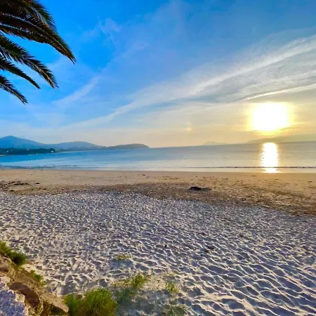 Oliveira De Portosin